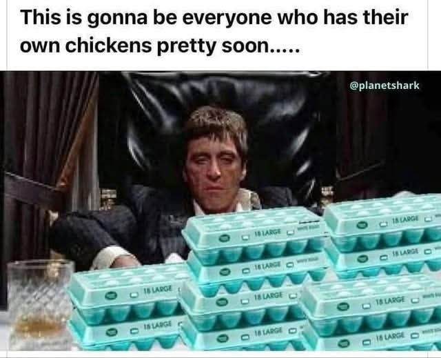 1739716799796.jpeg