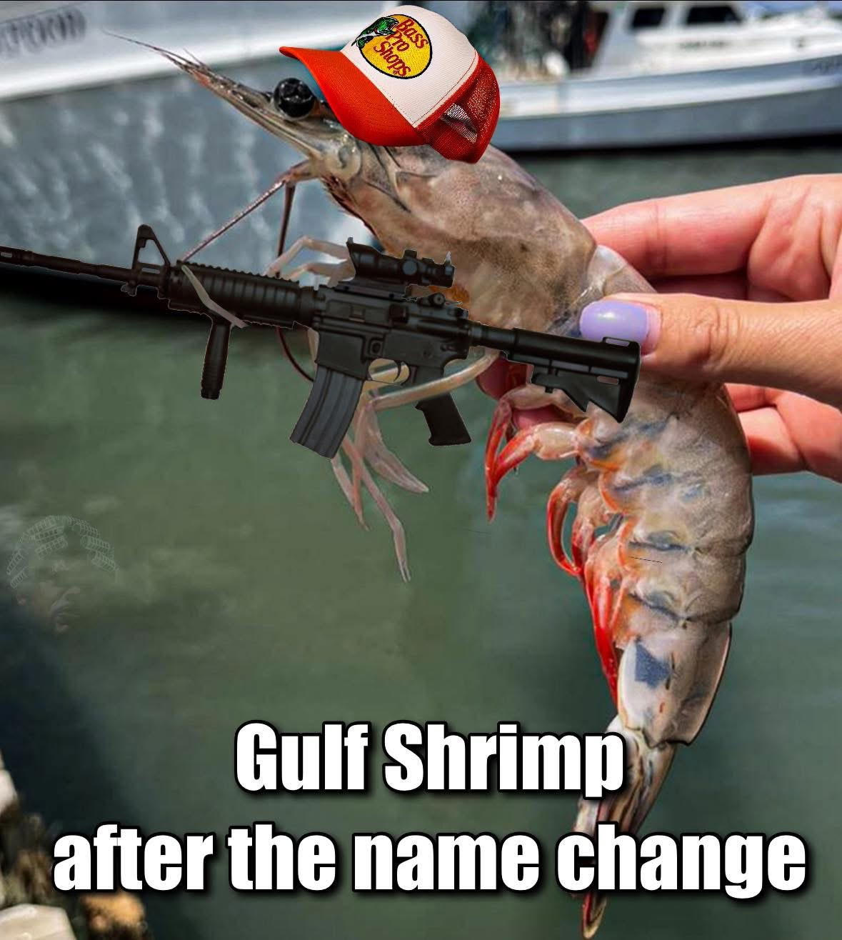 1739809896799.jpeg
