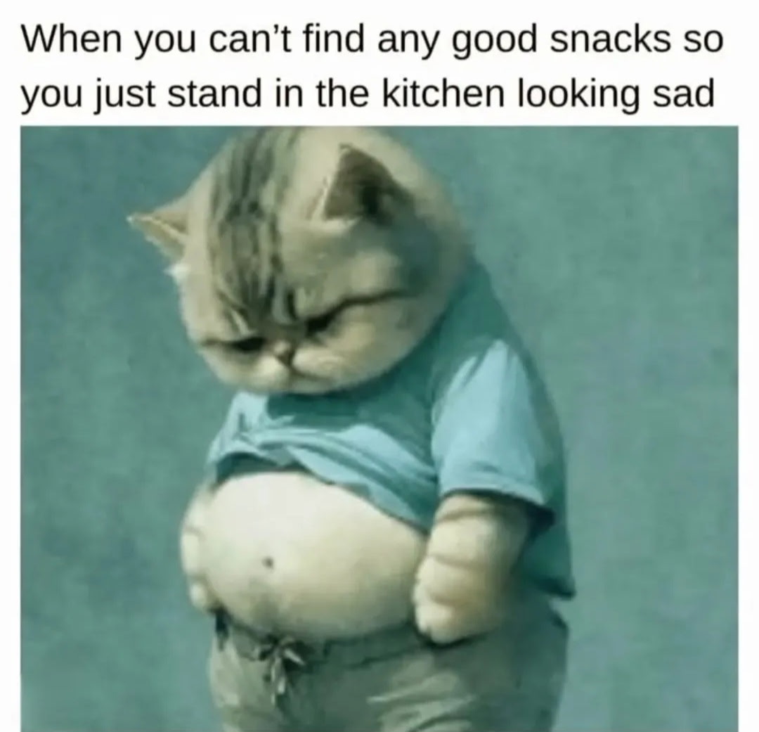 1740171221027.jpeg