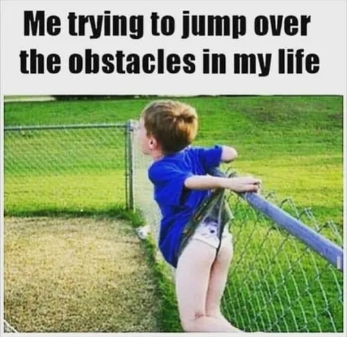 obstacles-in-life-meme.jpeg