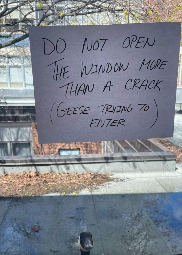 1748259008639.png
