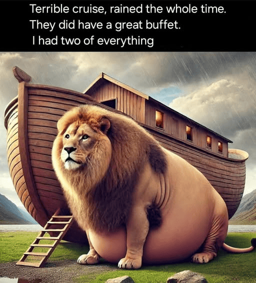 1749955346560.png