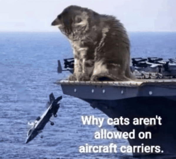 1750023485309.png