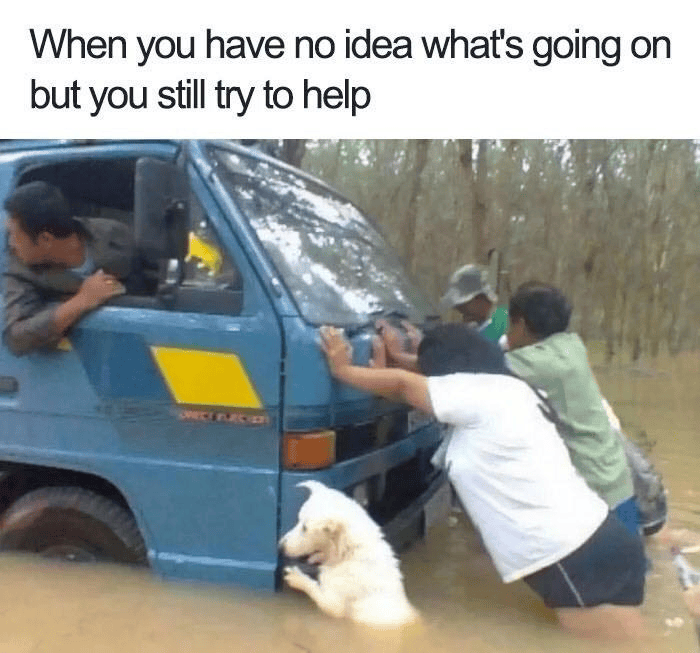 1750363781508.png