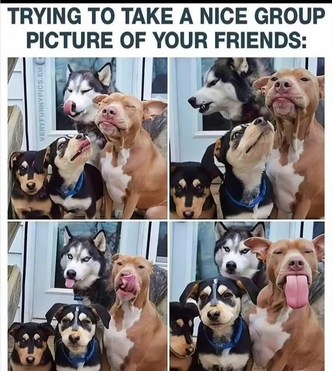 1751223327198.png