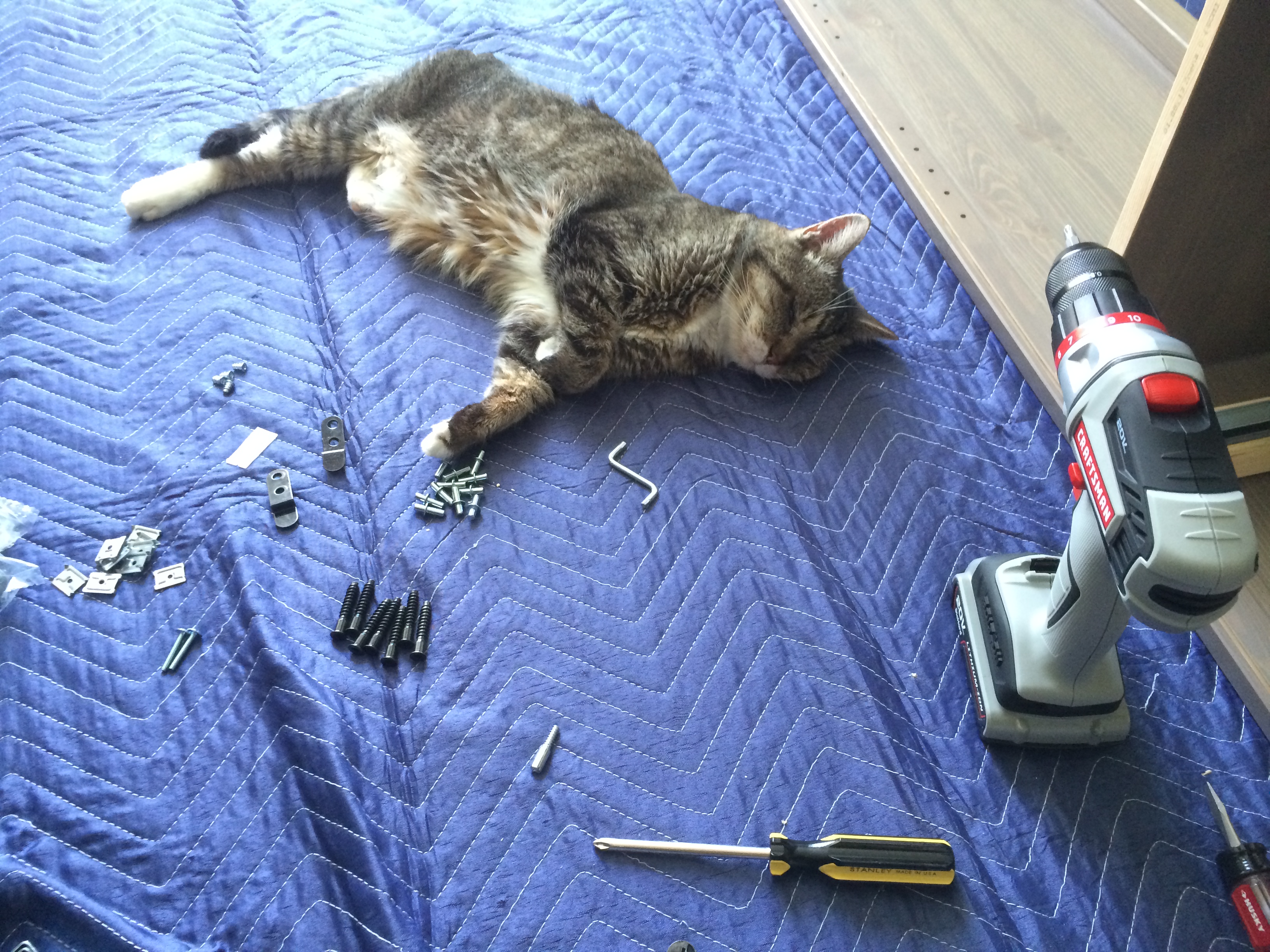 IMG_0798.jpeg