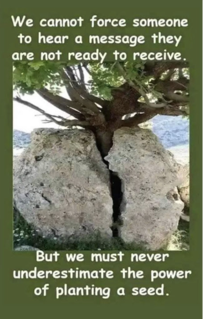1755365343914.png