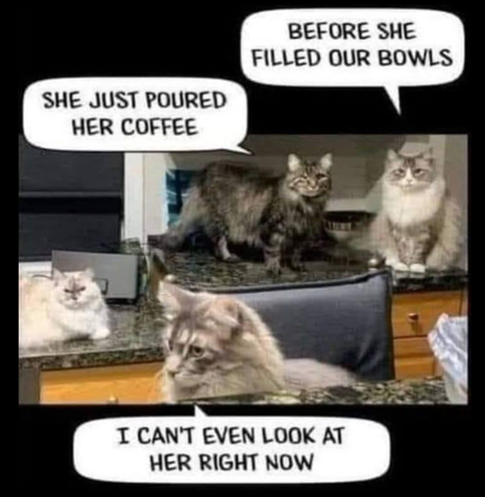 1755365424891.png