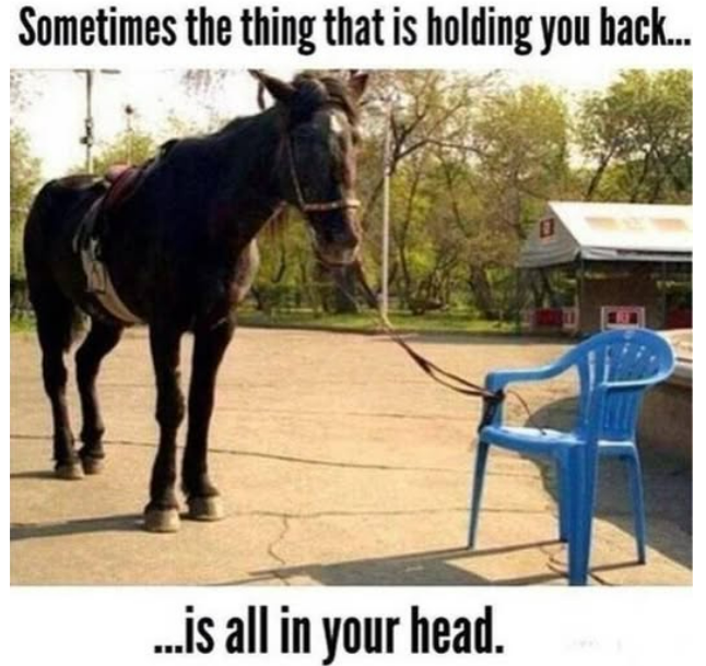 1756149891495.png