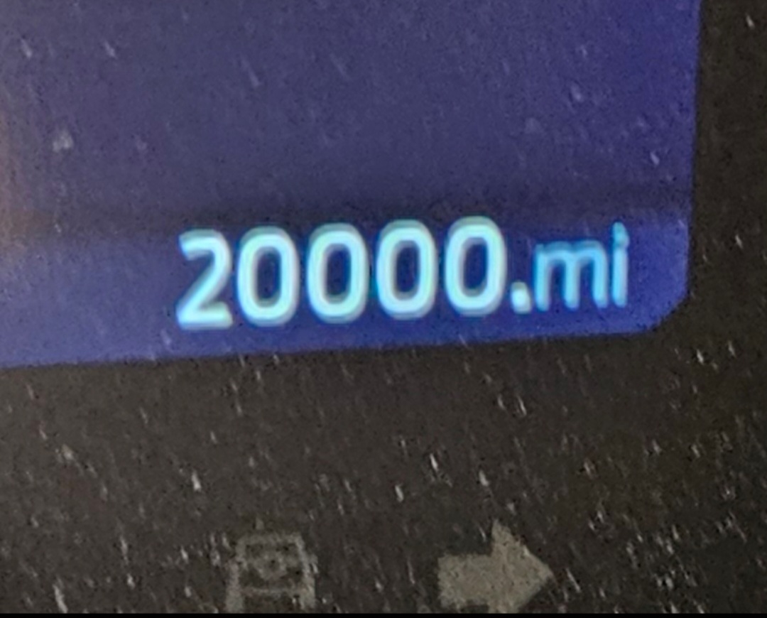 1000023106.jpg
