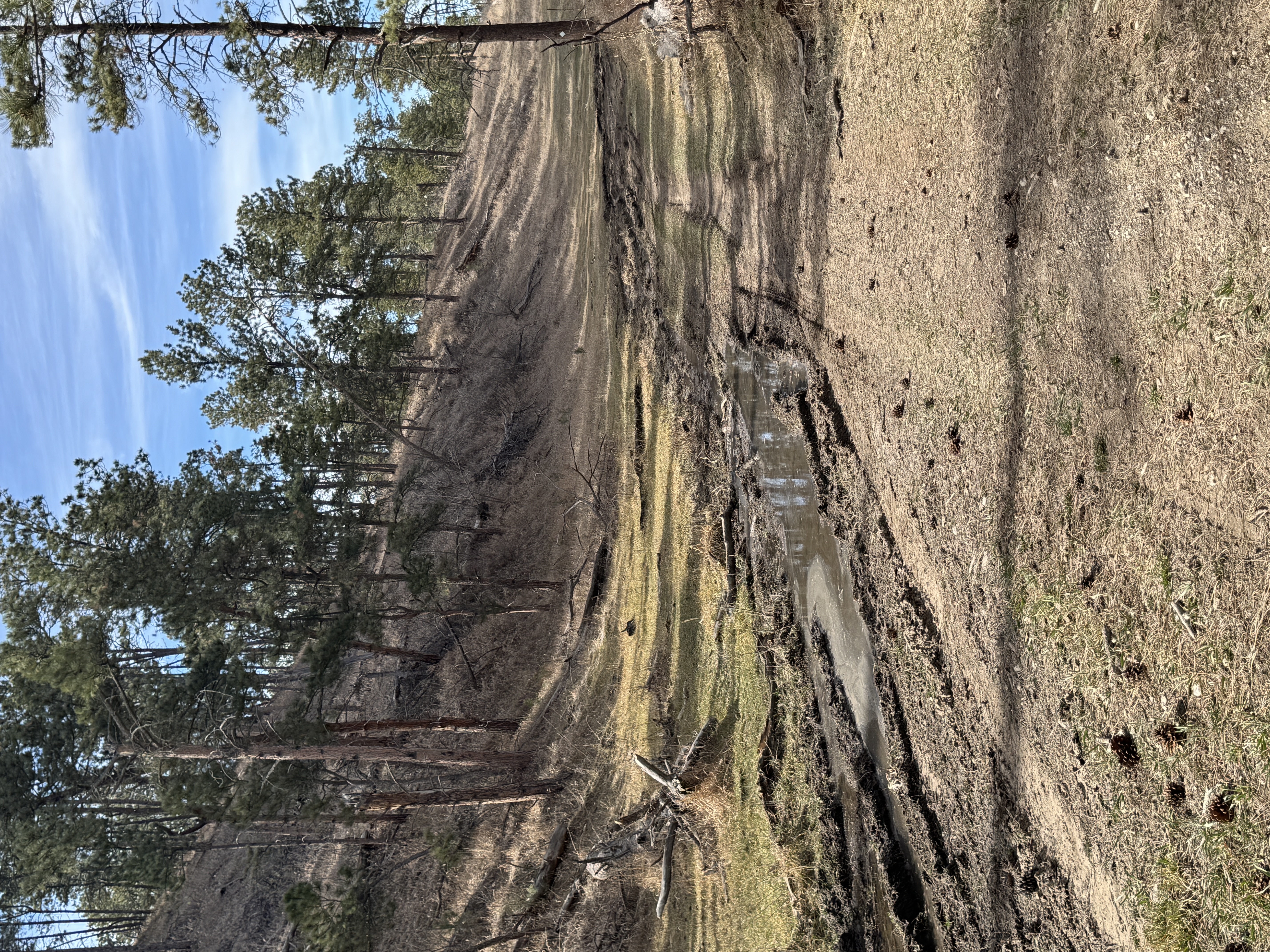 IMG_0230.jpeg