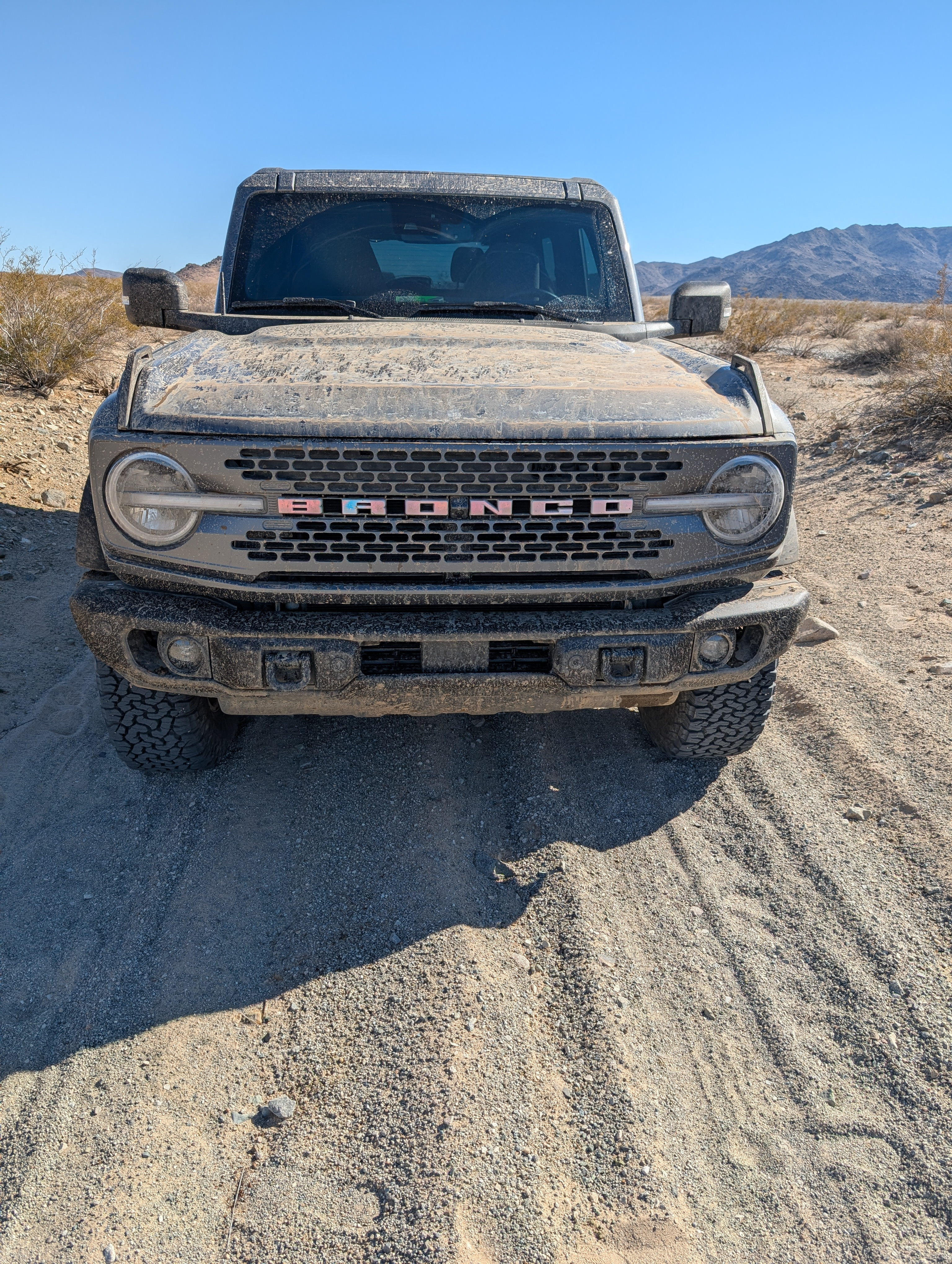 Bronco Joshua Tree.jpg
