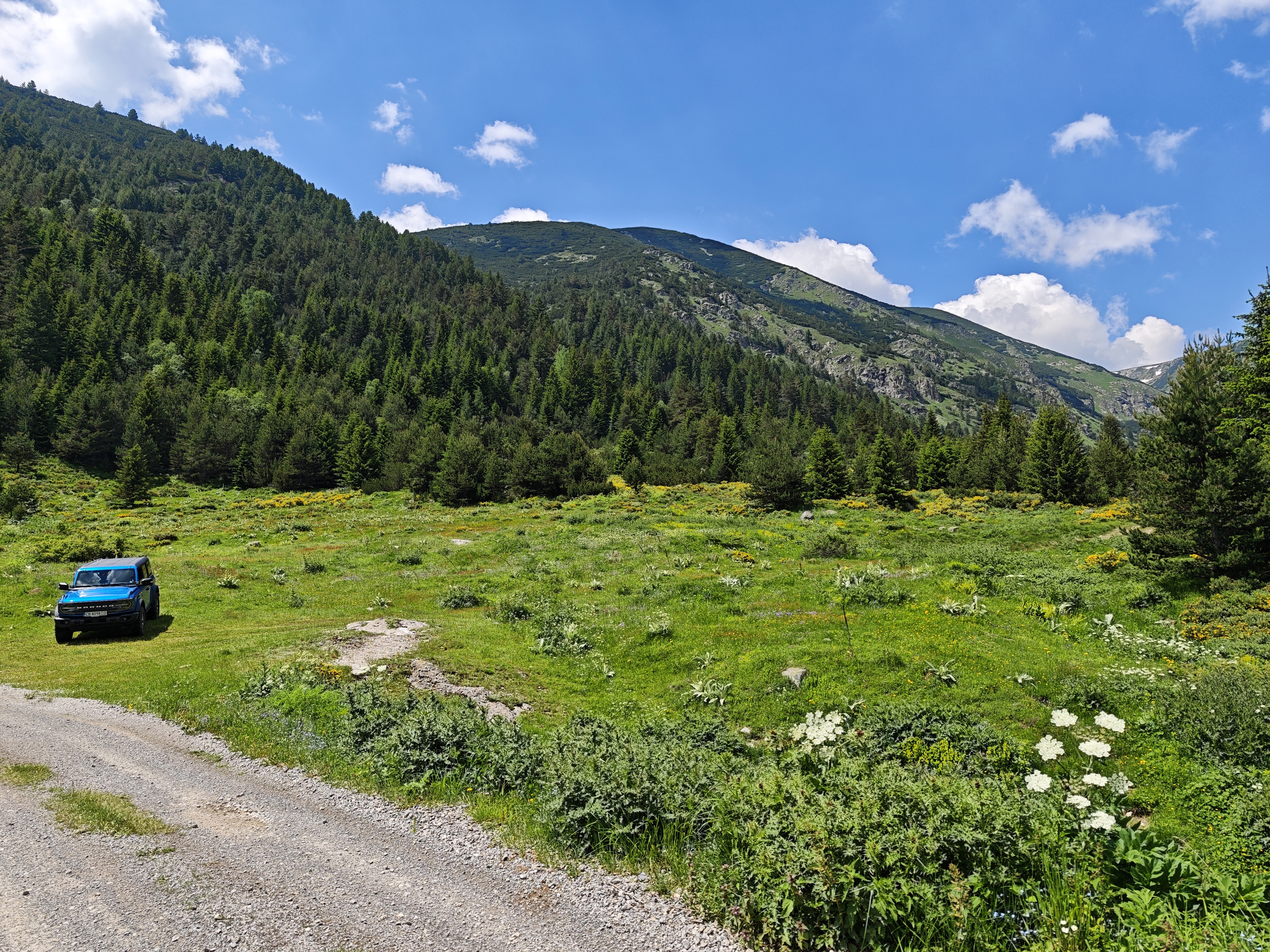 IMG_20260627_144325.jpg