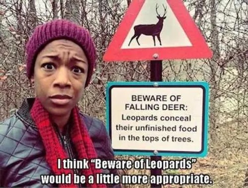 VERY-Funny-Pictures-015.jpeg
