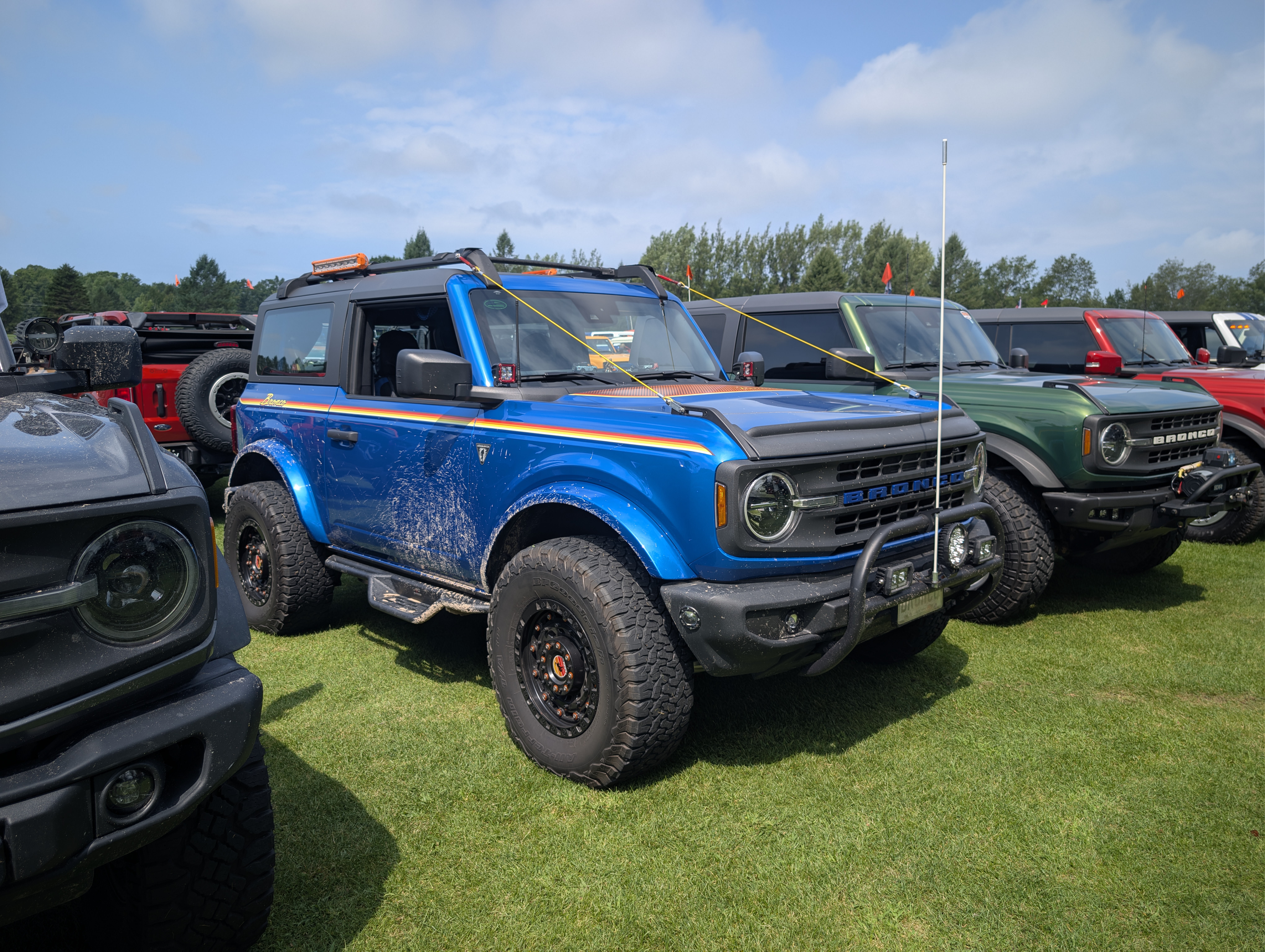 8390.jpg
