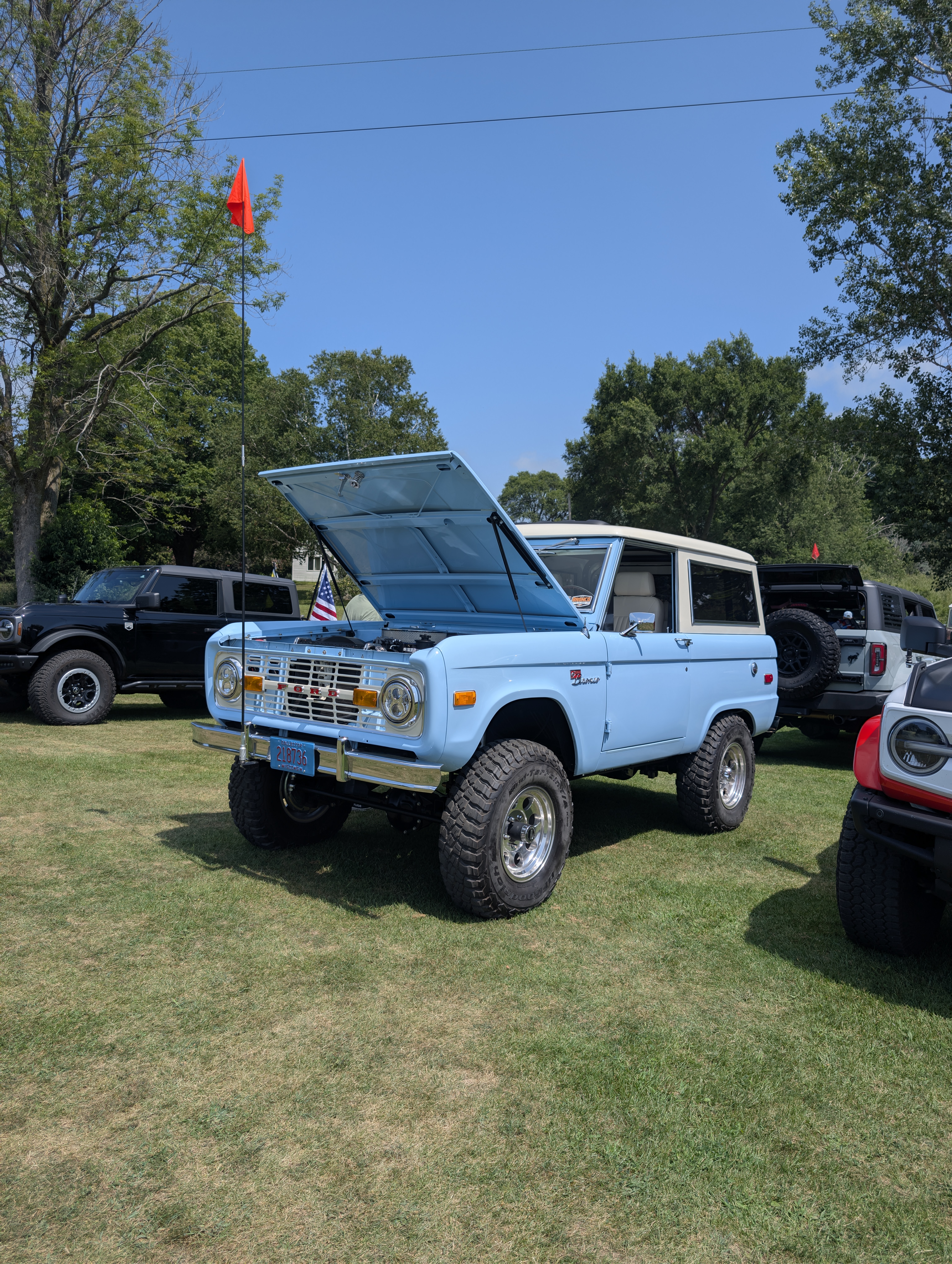8456.jpg