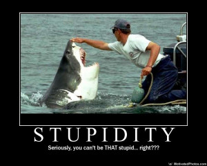 452152137-stupidity.jpg
