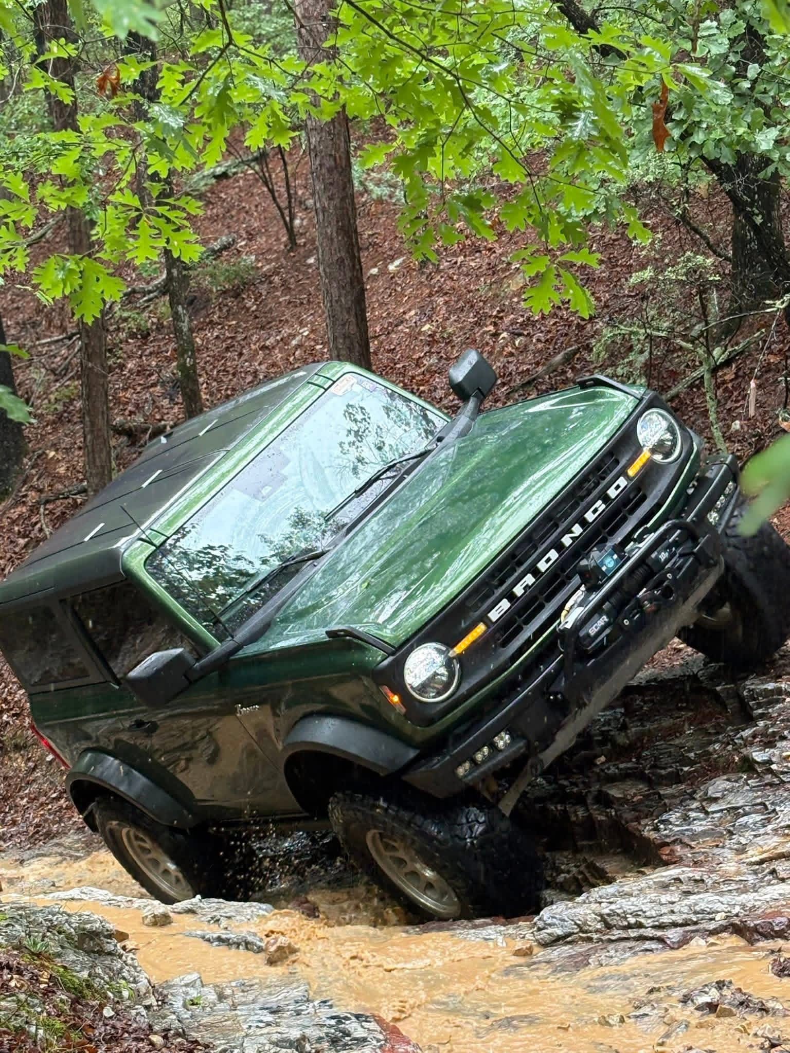 Rock Fink Ravine HSORP.JPEG