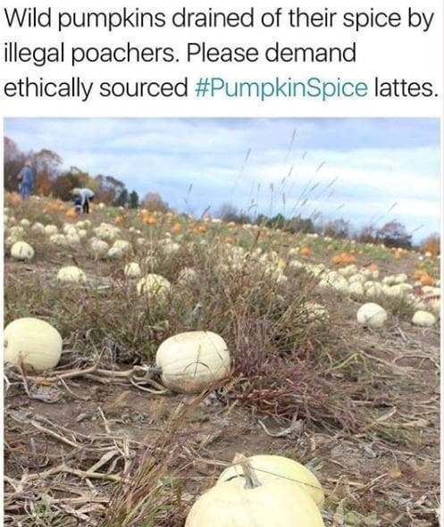 1791684603507.png