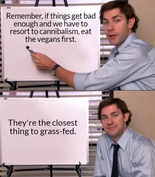 onbh5uhwies51.jpeg