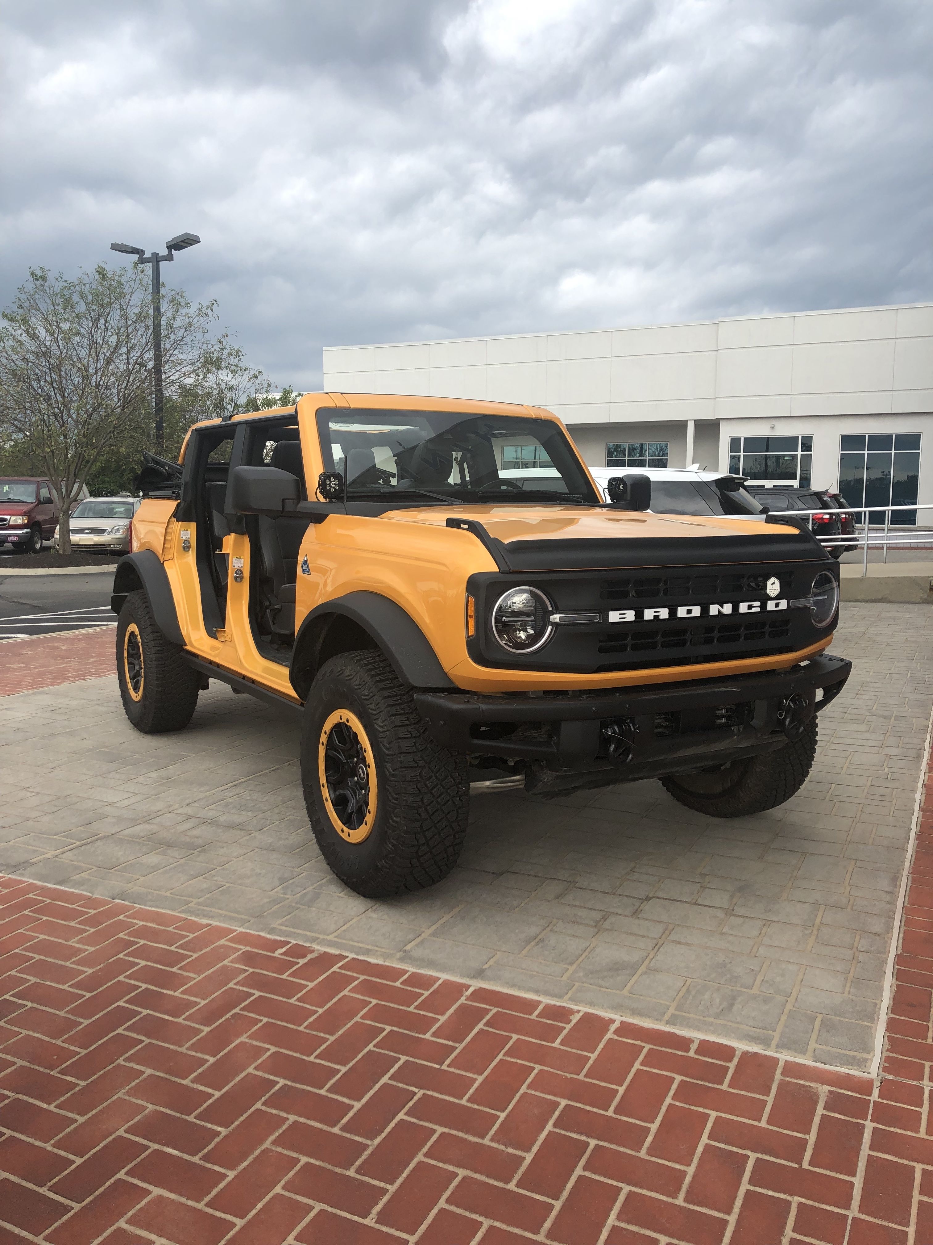Bronco.jpg
