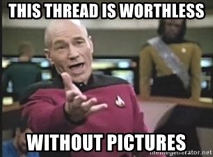 49F554FE-8A66-47BF-94B9-AEBECF1D0452.jpeg