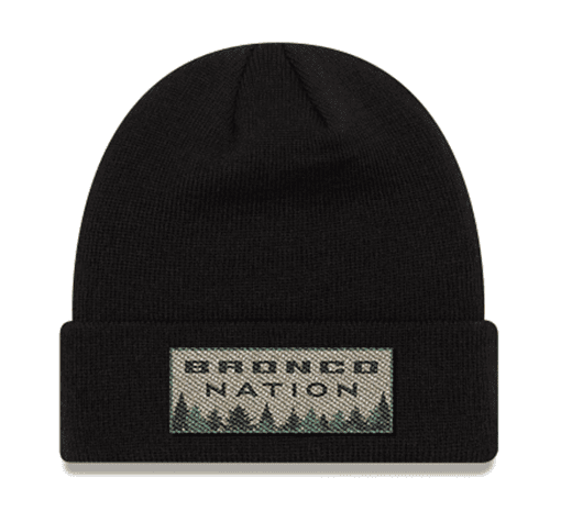 Black_Beanie_520x.png