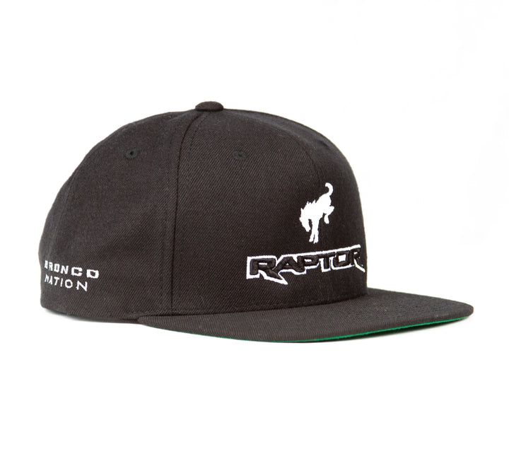 Raptor Hat.jpg