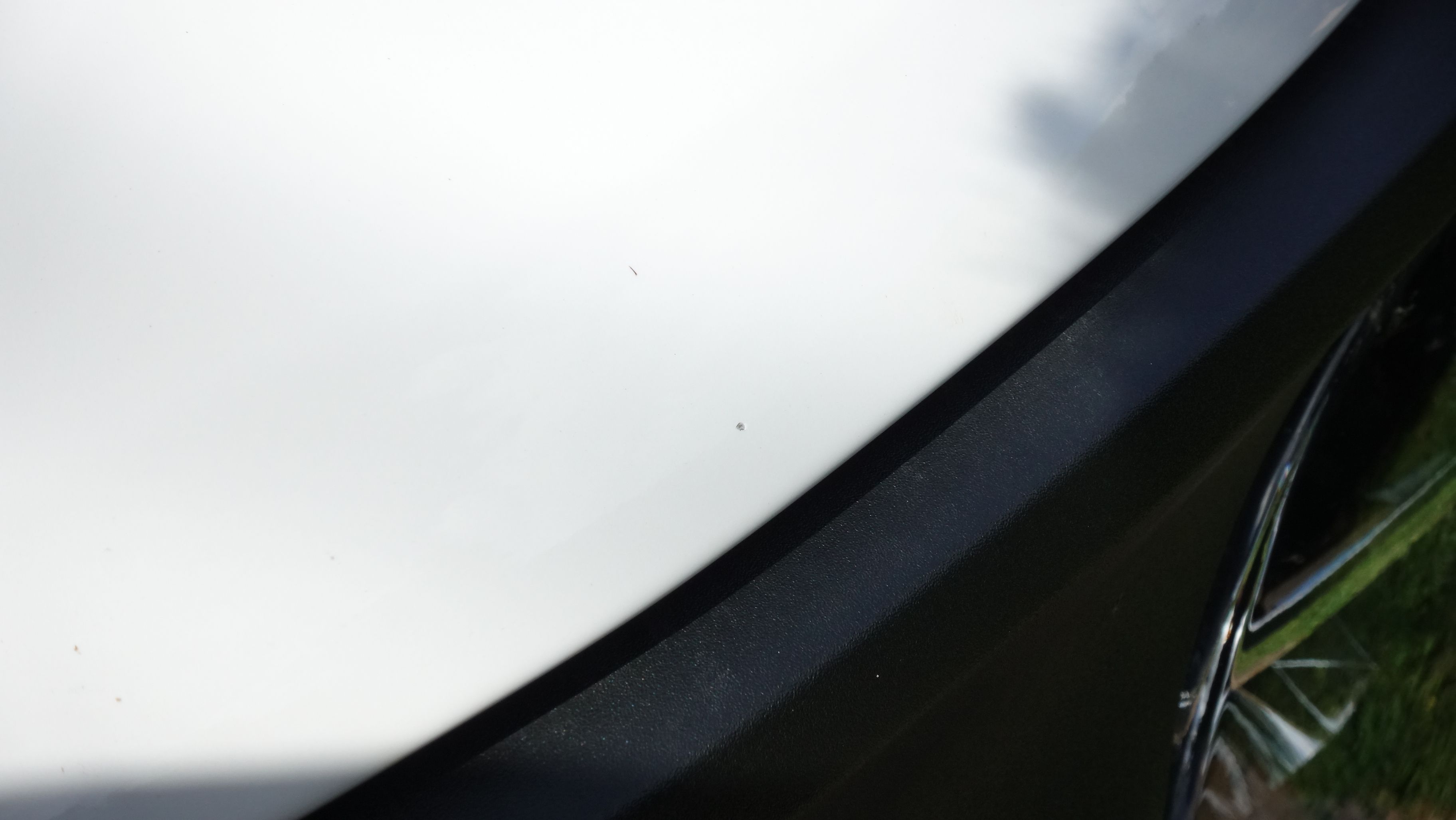 DIM02712.JPG