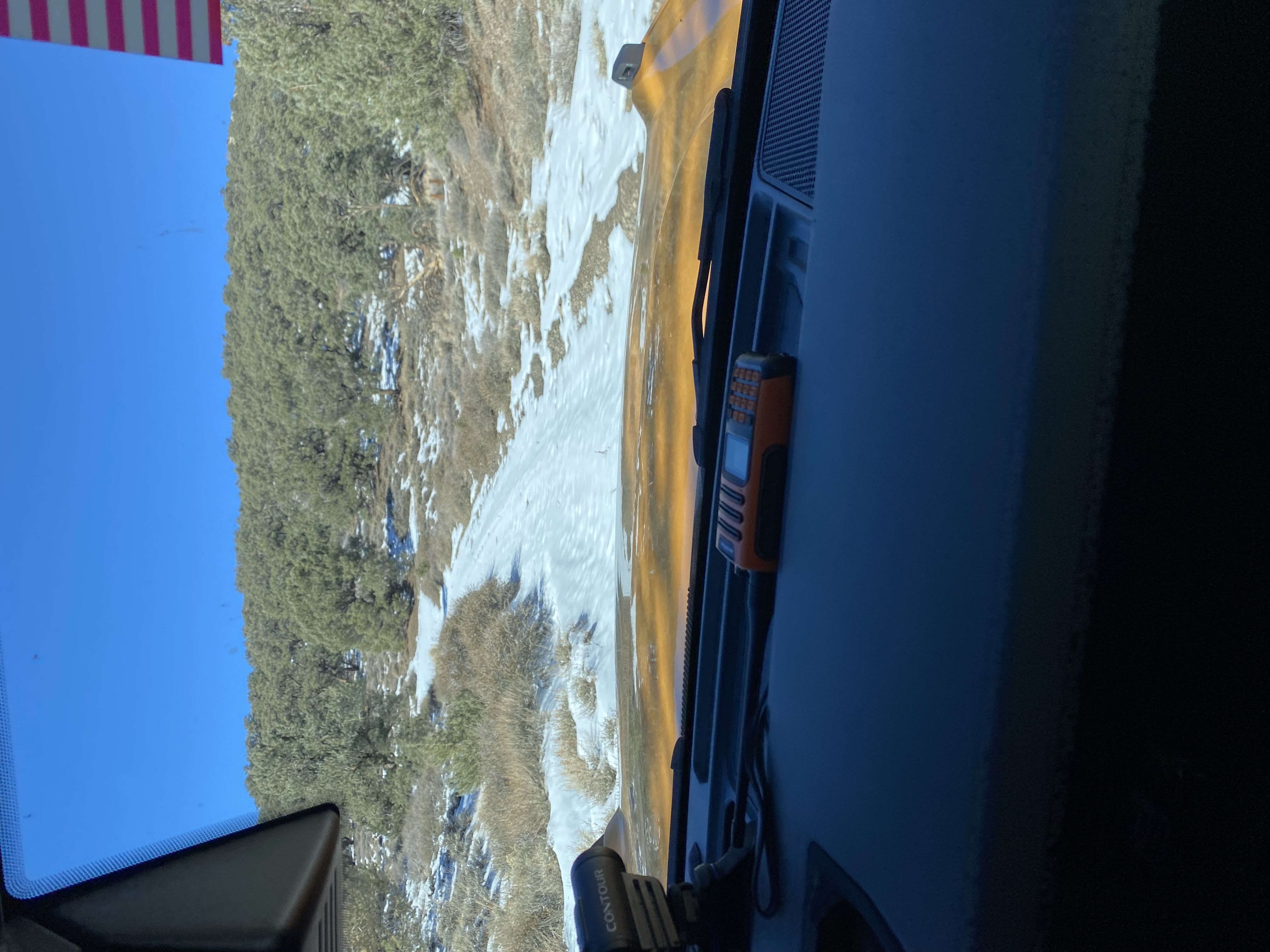 IMG_7168.jpeg