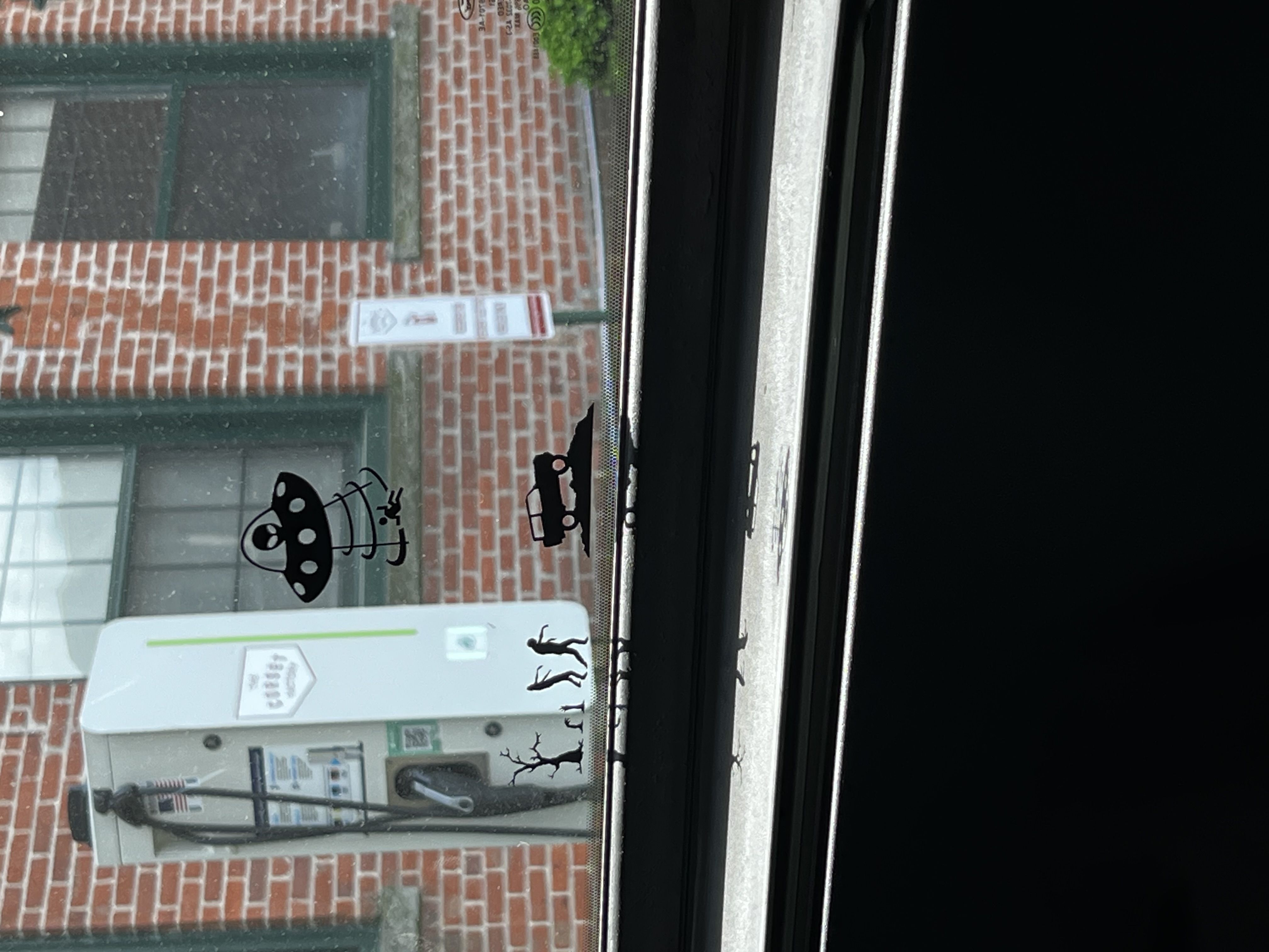 IMG_0966.jpeg