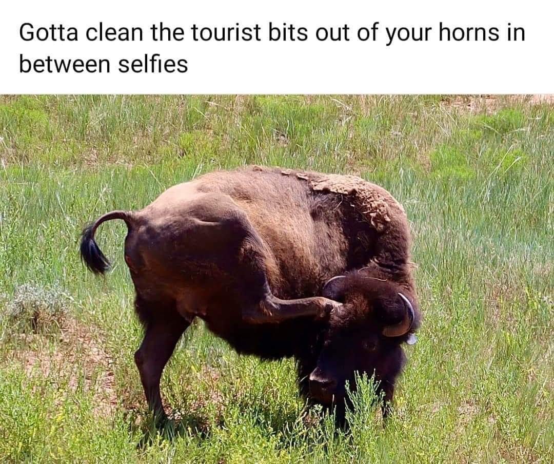 data