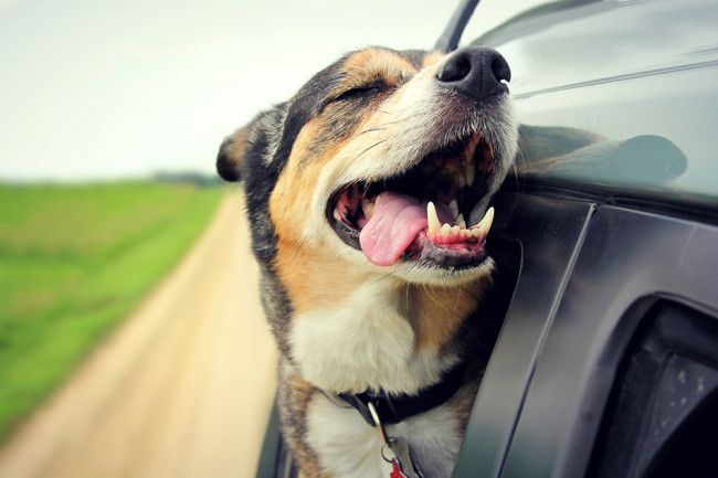 shutterstock_295505120.jpg