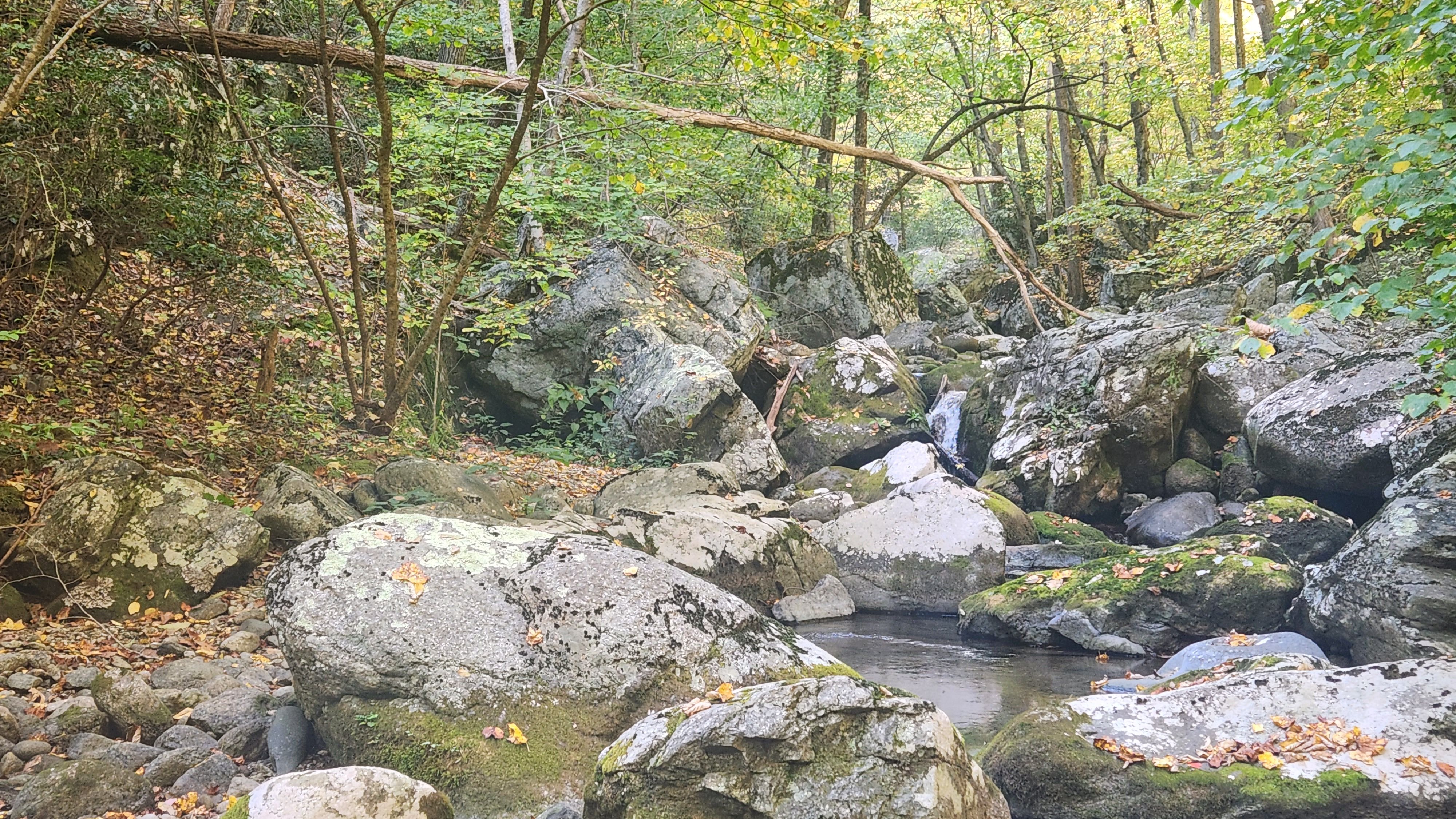 20231004_162305.jpg