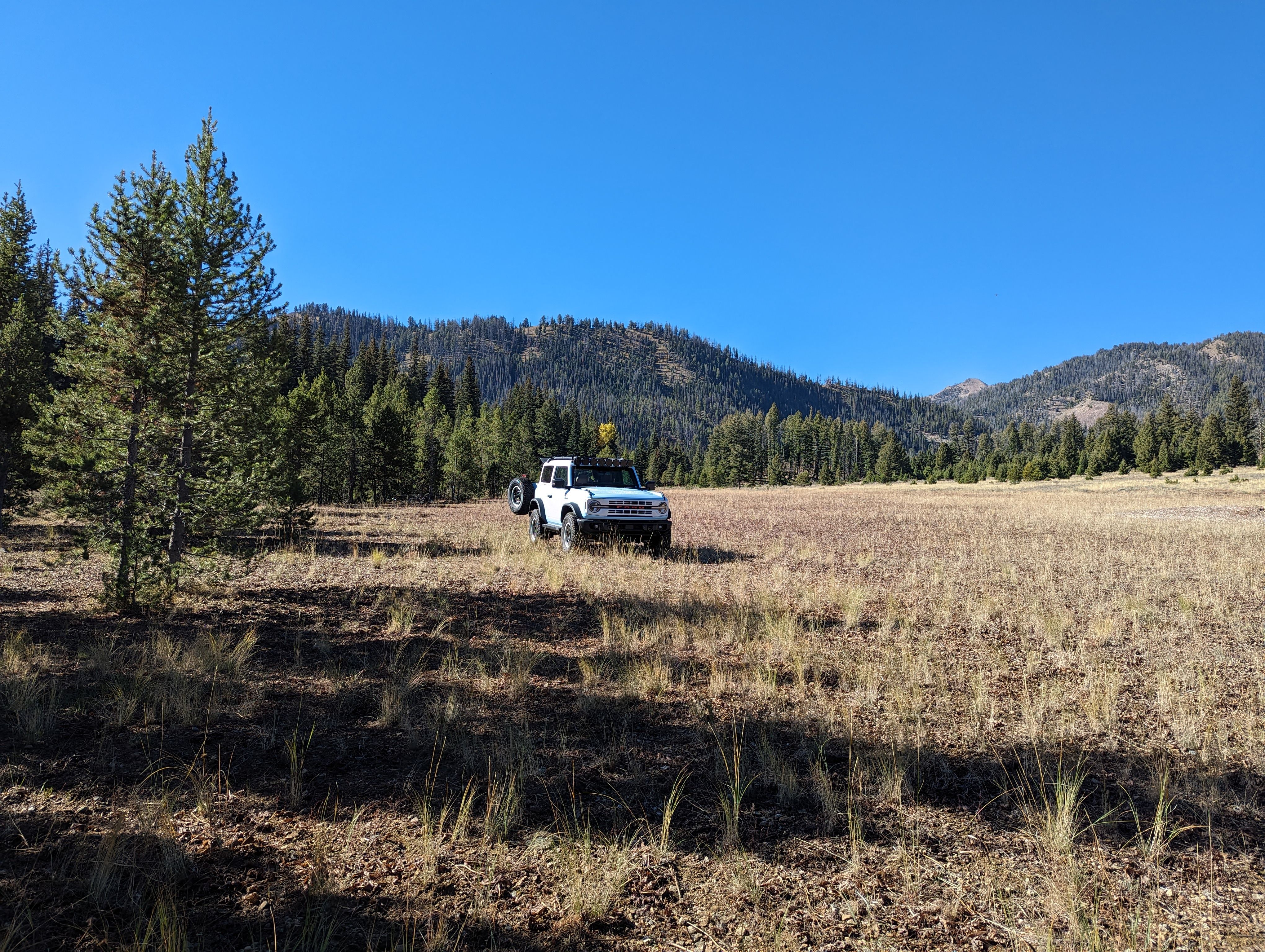 the meadow looking at Boulder mtn 3.jpg