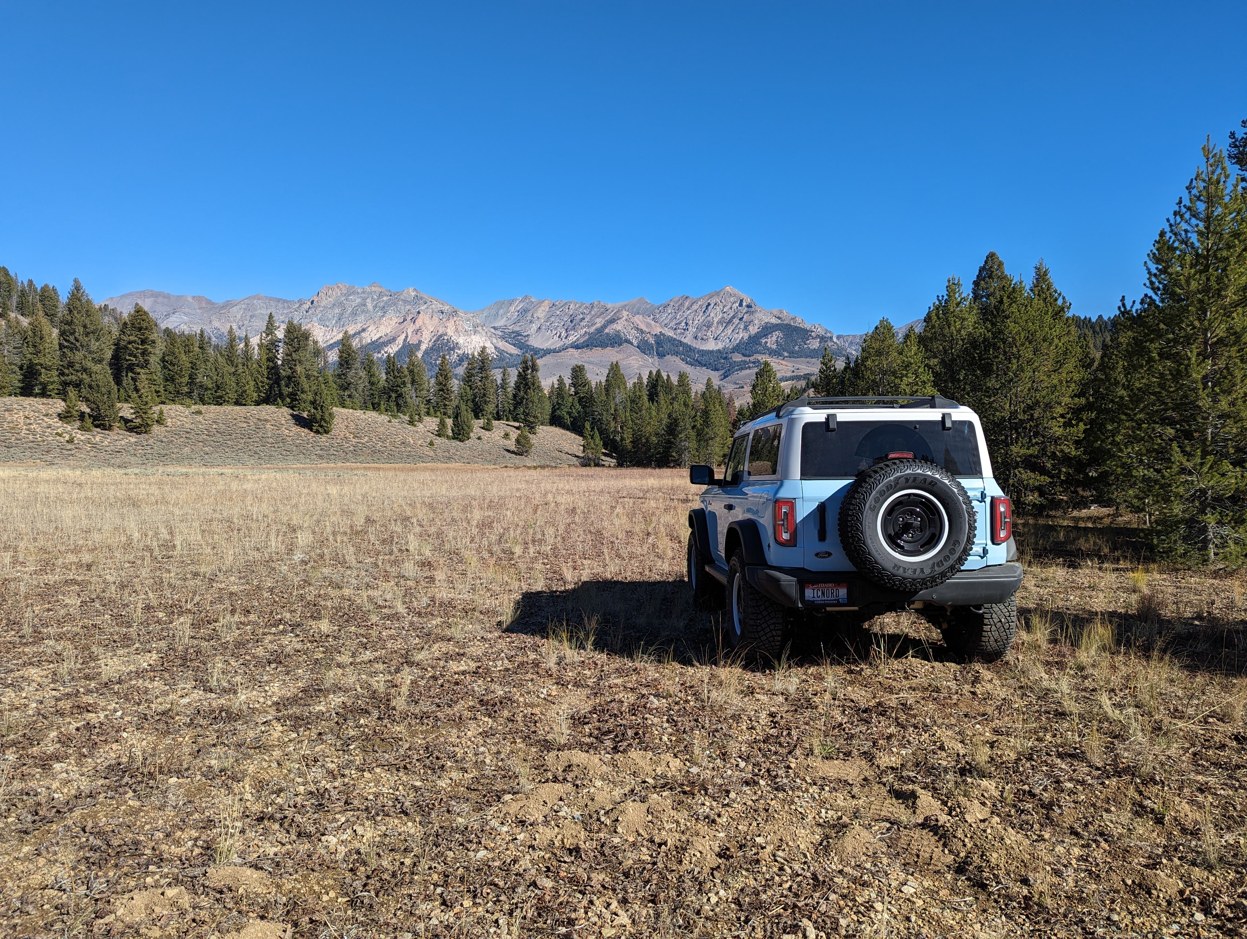 the meadow looking at Boulder mtn 1.jpg