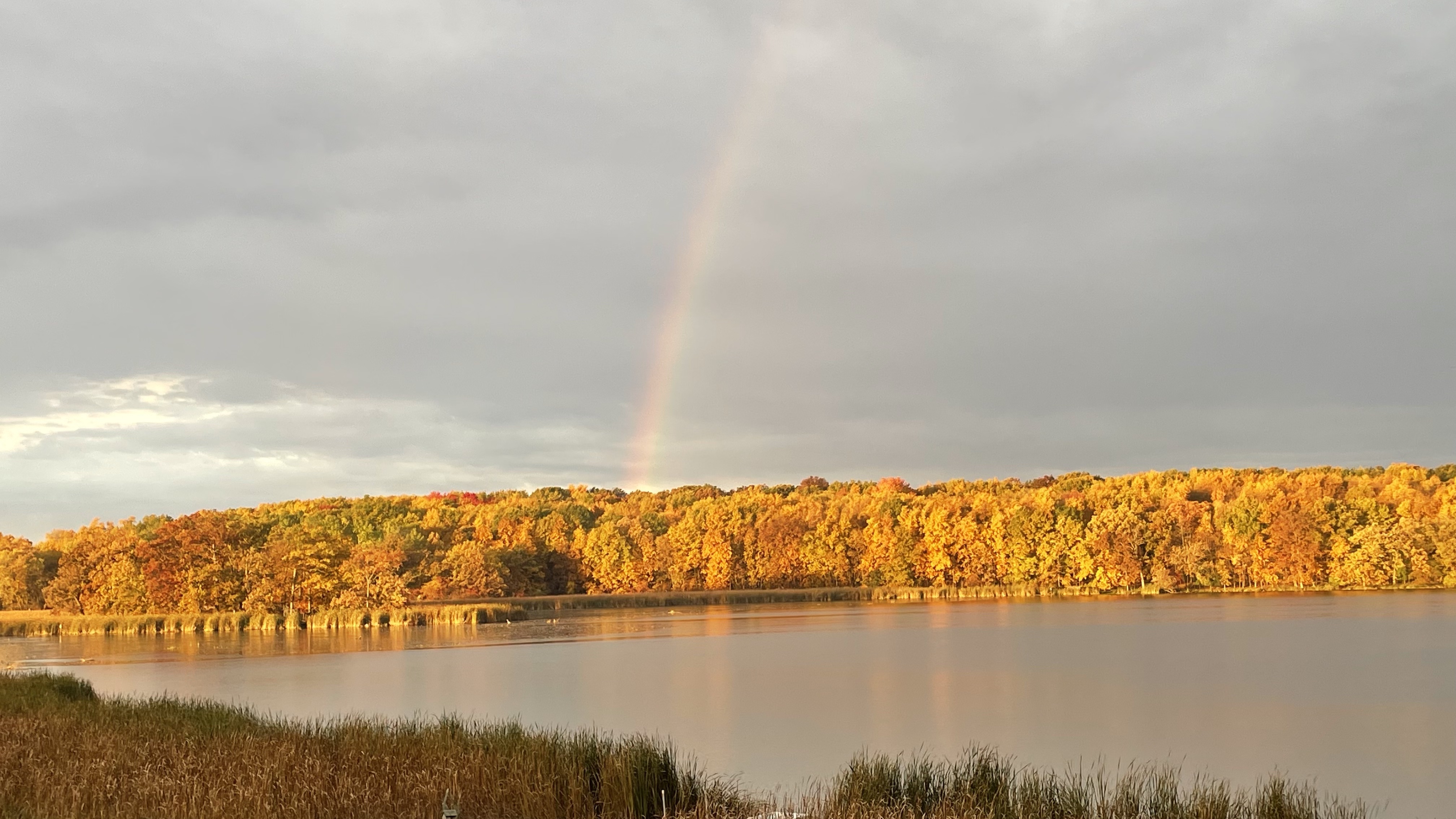 autum rainbow.jpg