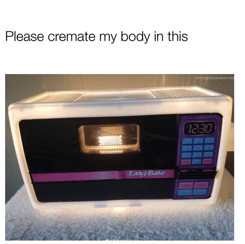 microwave-oven-please-cremate-my-body-this-1001-easy-bake-1230-surp-omgshesaweirdo-taus-10-74ar.jpg