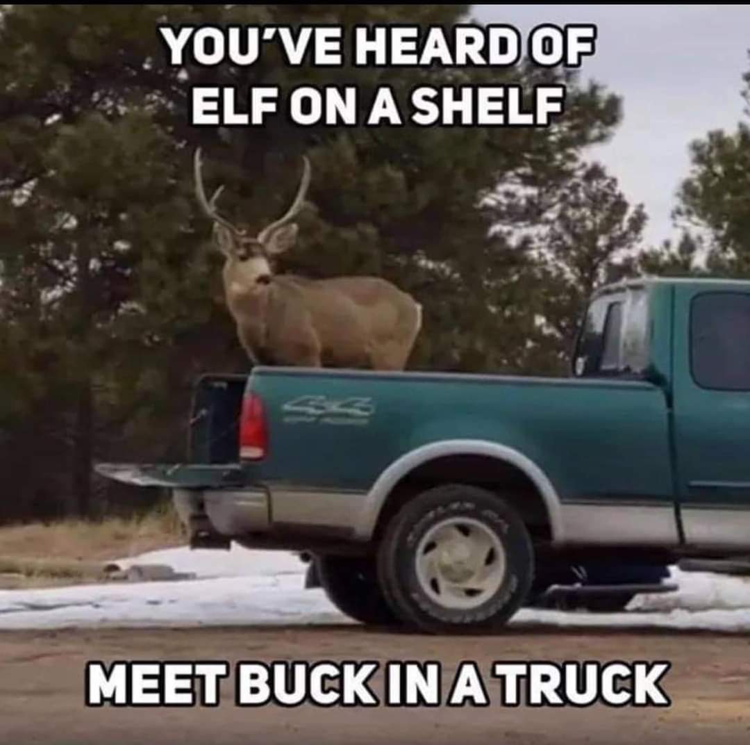FB_IMG_1701357719643.jpg
