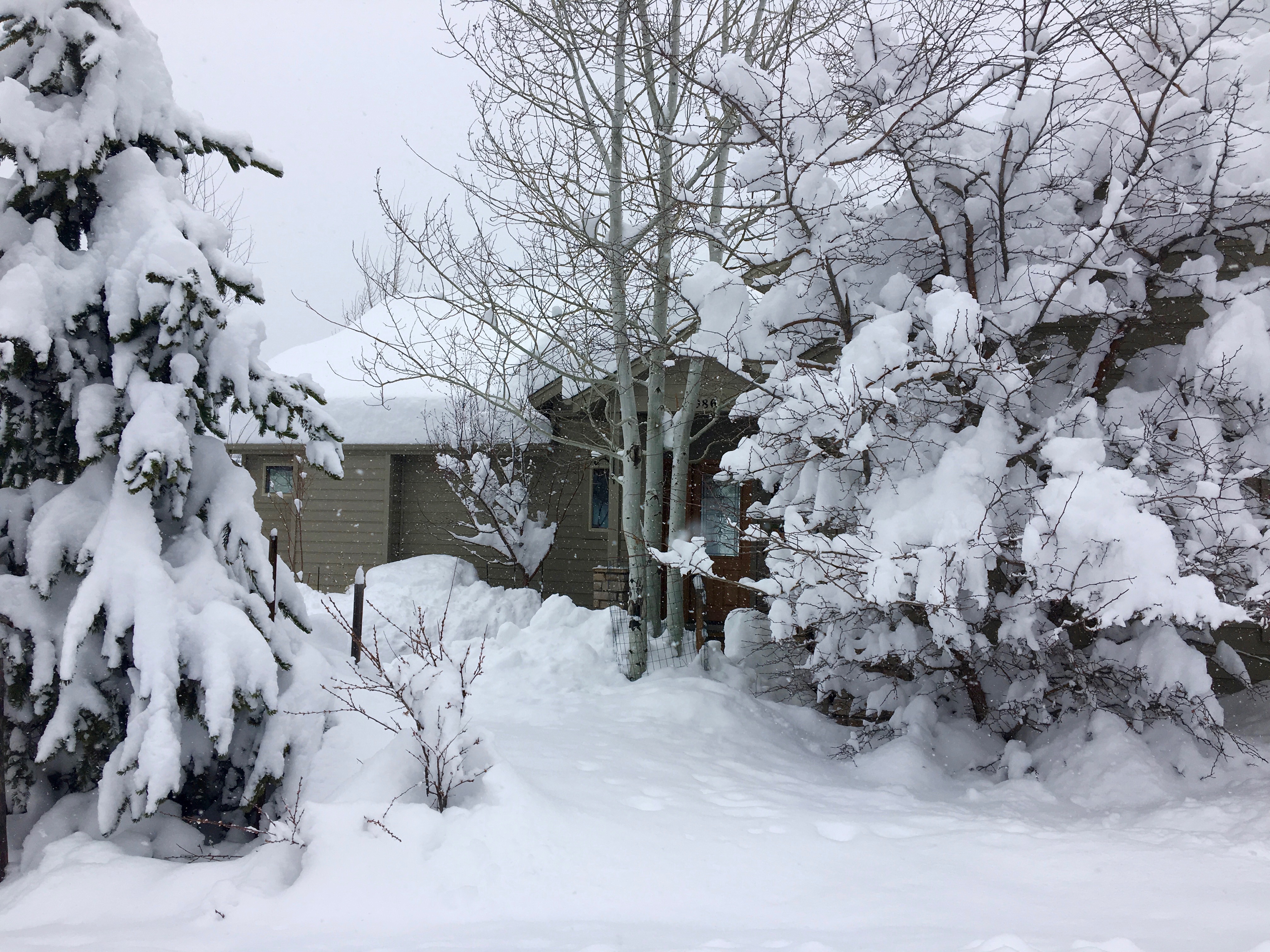 Evergreen House in Snow 5 April-'16.jpg