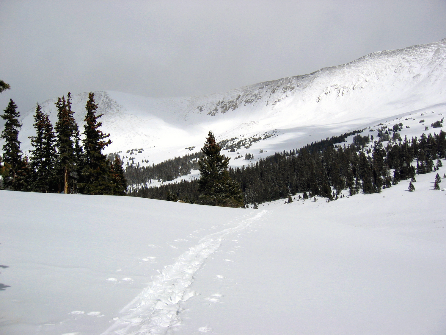 Webster Pass, CO 2 in Mar-'04.jpg