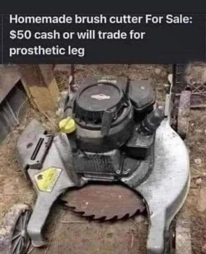 6467fff0e7c72-1.jpeg