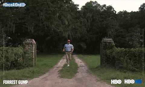 giphy (5).gif