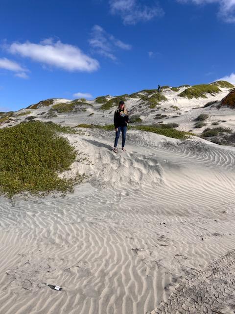 Melissa Clark's Baja Trip: Updates - Bronco Nation