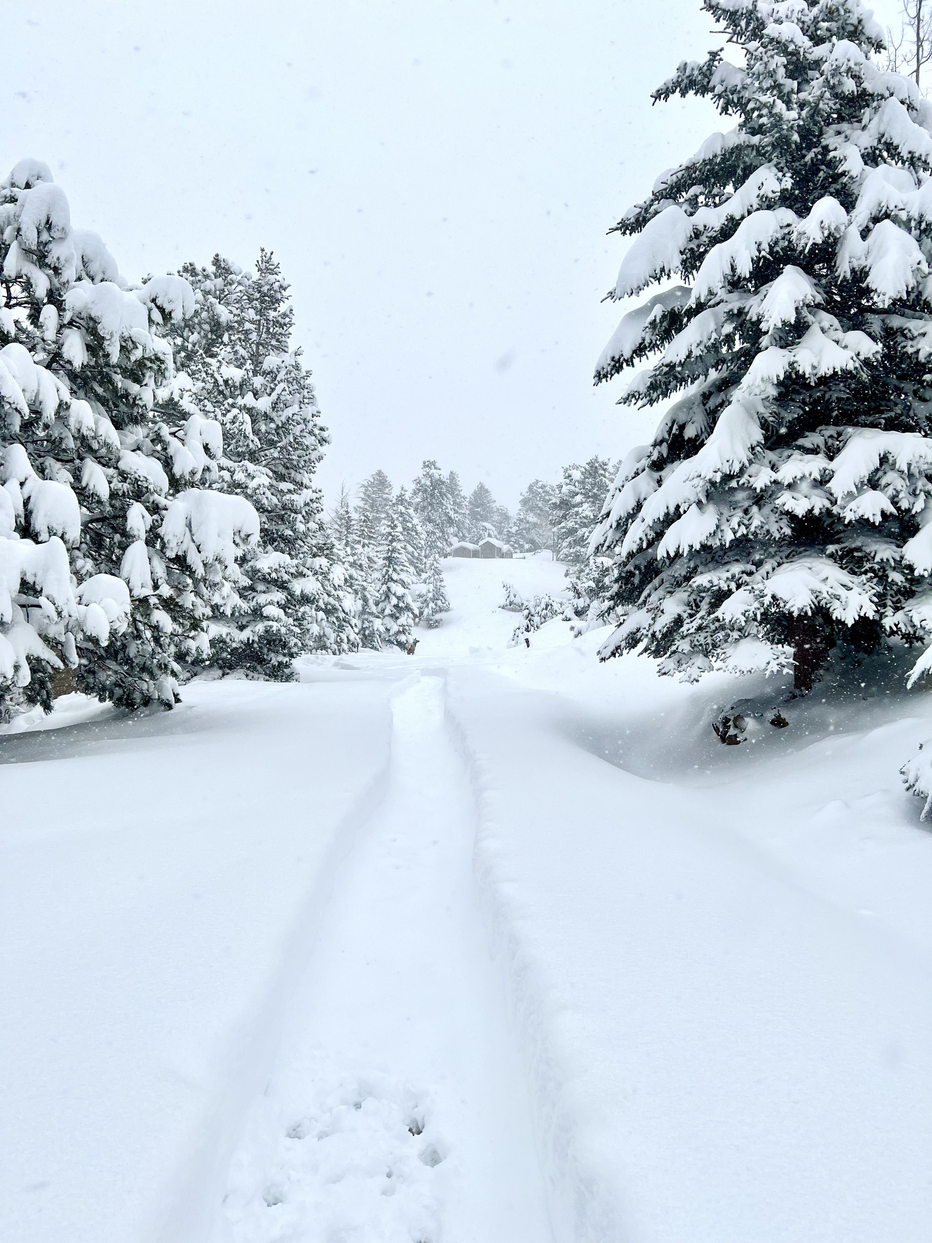 Evergreen Snowstorm 2 Mar 14 '24.jpg