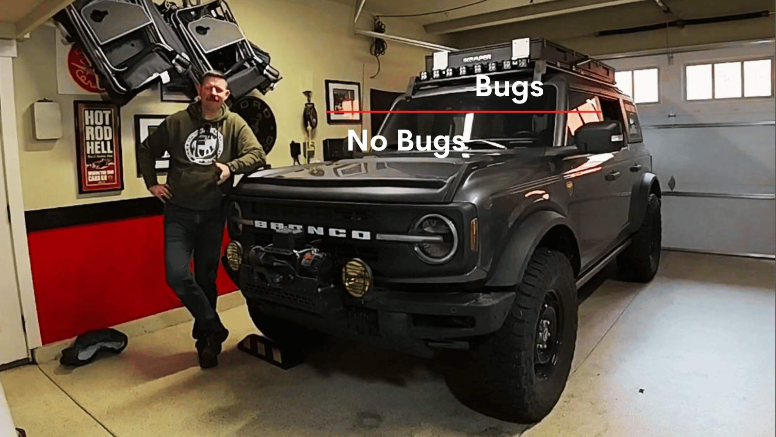 Bugs.png