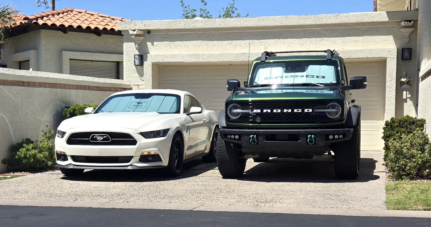 Envy & Fiona.jpg