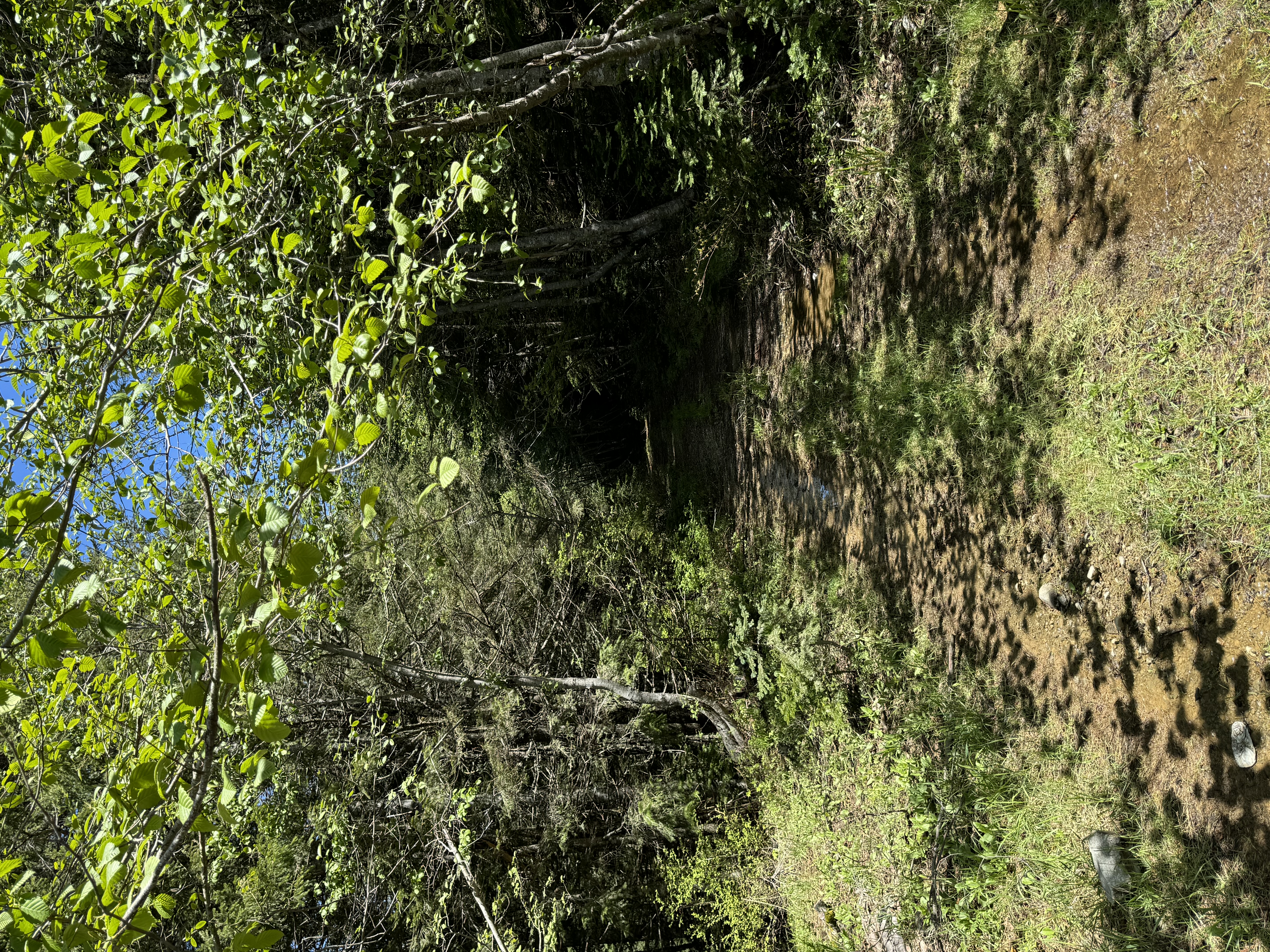 IMG_0035.jpg