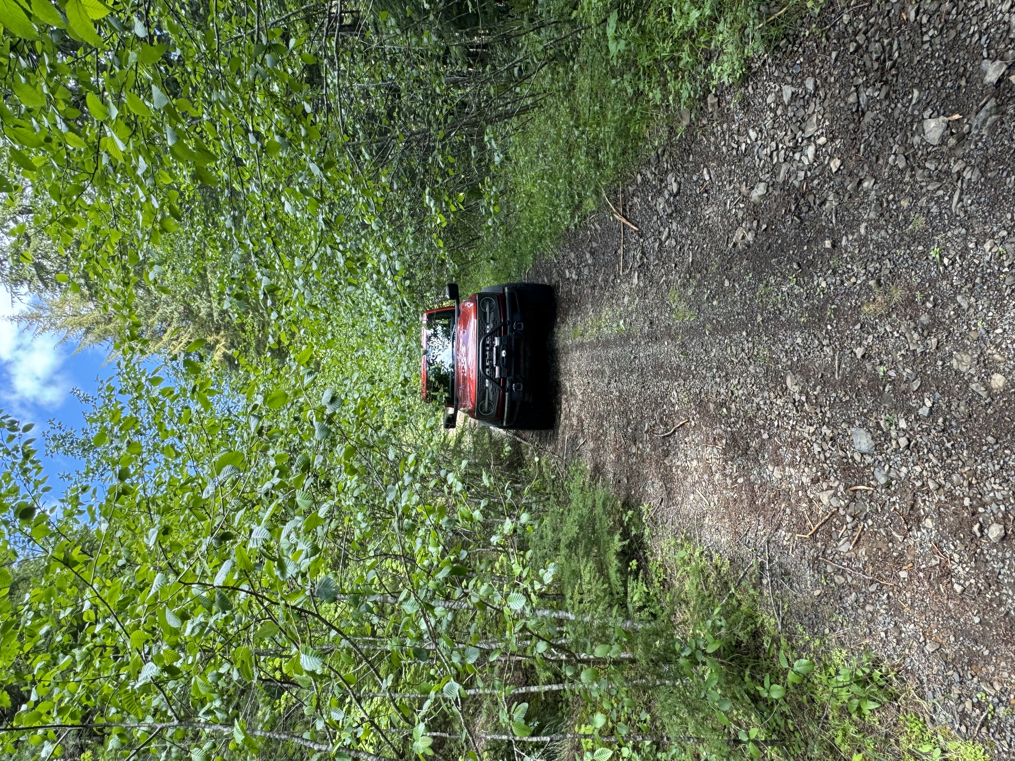 IMG_0055.jpg