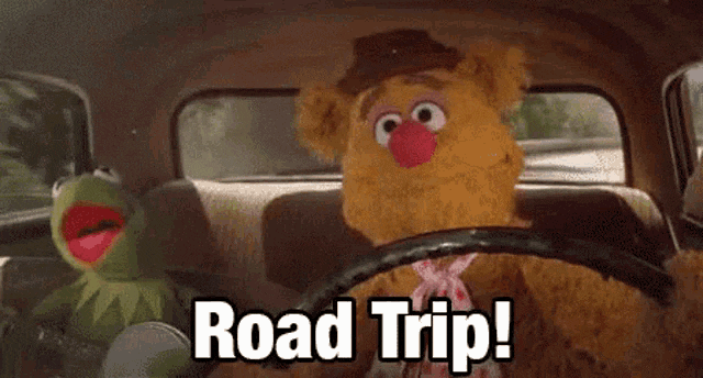 road-trip-kermit.gif